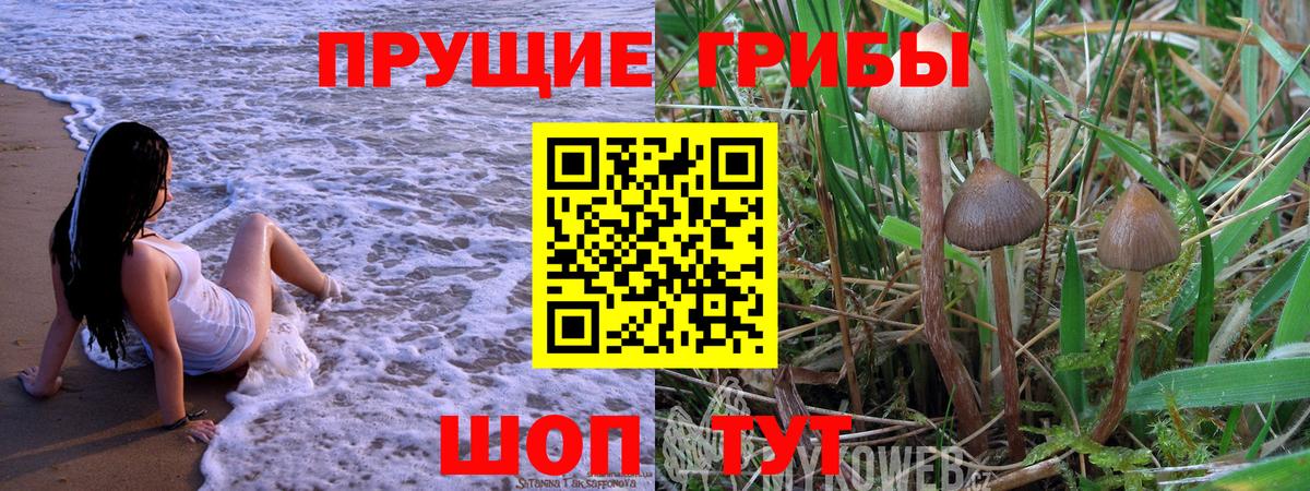 Псилоцибиновые грибы Psilocybe  Вход с VPN  Фролово 