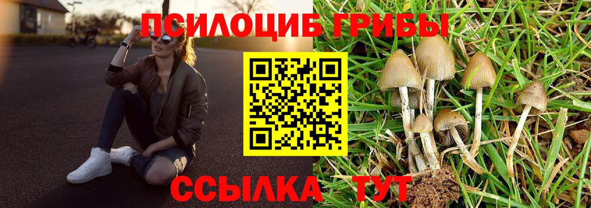 Псилоцибиновые грибы Magic Shrooms Фролово